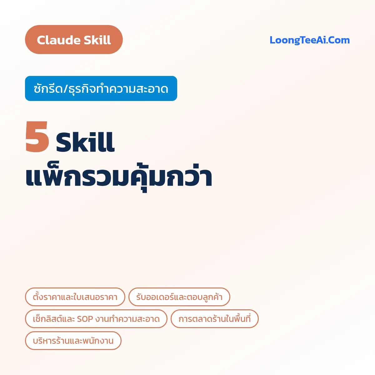 แพ็กรวม 5 Skill ซักรีด/ธุรกิจทำความสะอาด (Claude)