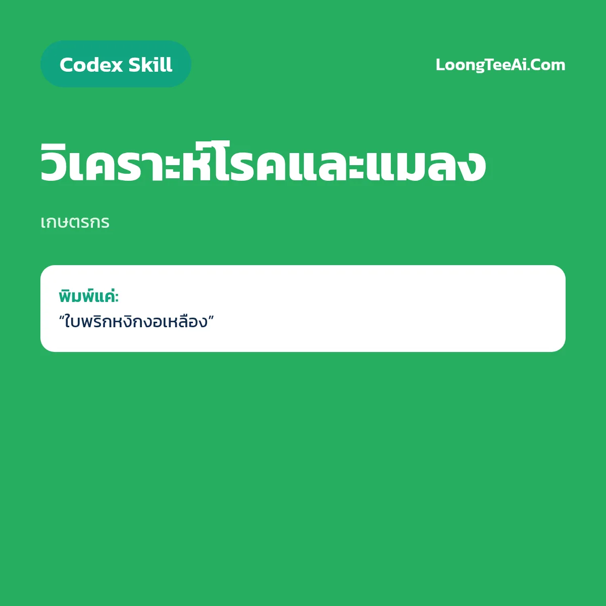 Skill วิเคราะห์โรคและแมลง (Codex) — เกษตรกร