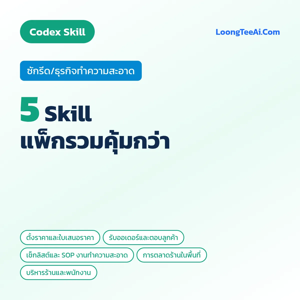 แพ็กรวม 5 Skill ซักรีด/ธุรกิจทำความสะอาด (Codex)