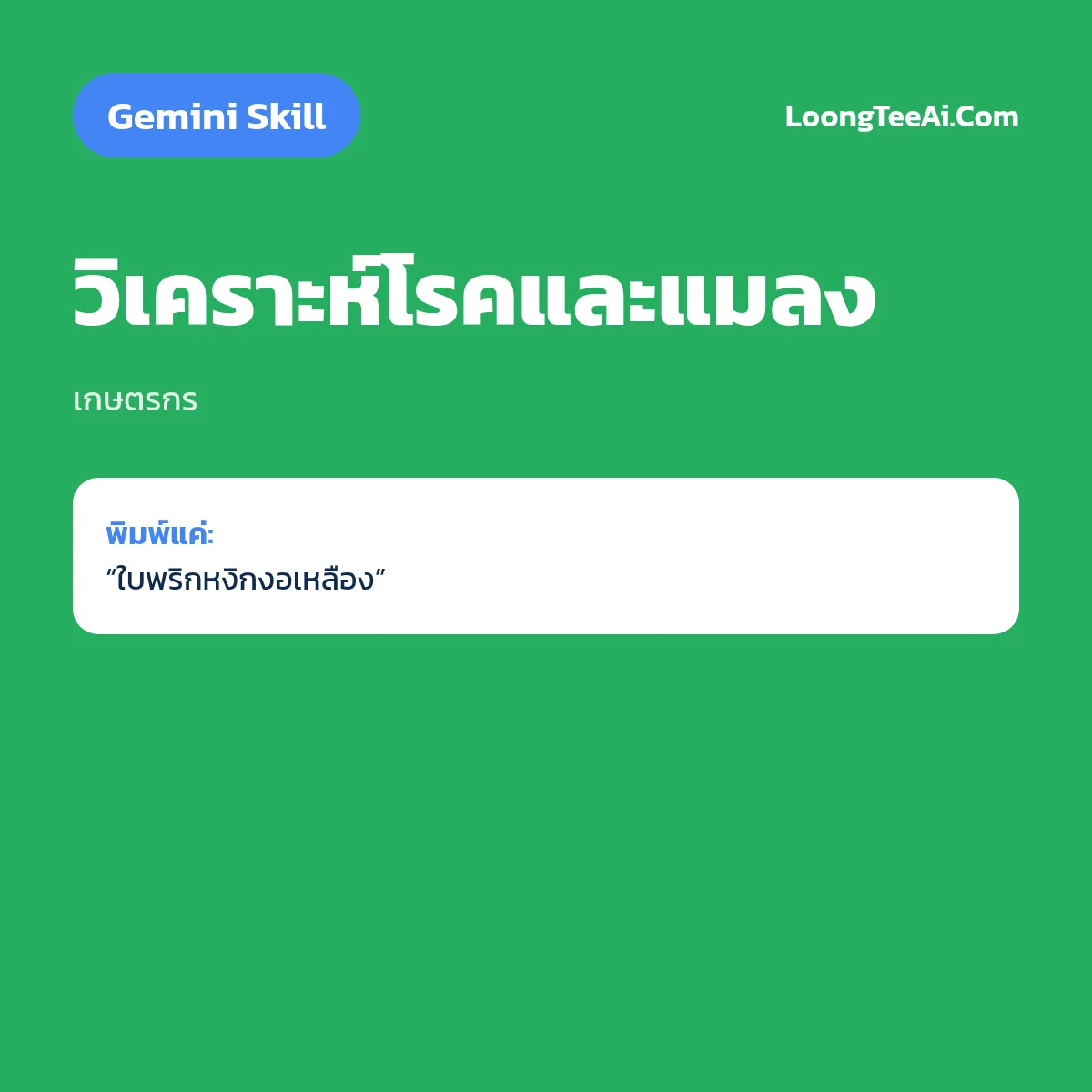Skill วิเคราะห์โรคและแมลง (Gemini) — เกษตรกร