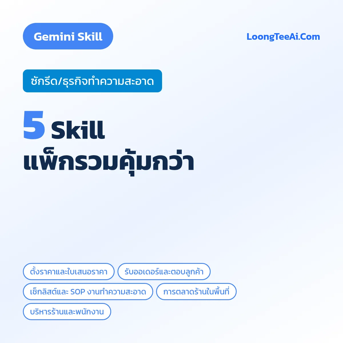 แพ็กรวม 5 Skill ซักรีด/ธุรกิจทำความสะอาด (Gemini)